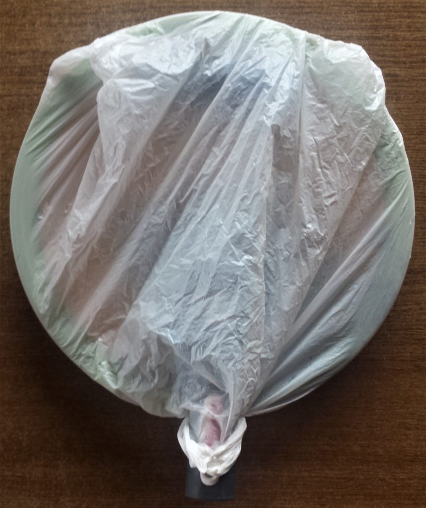 Plastic bag tied over the plate and roller to prevent them from drying out.