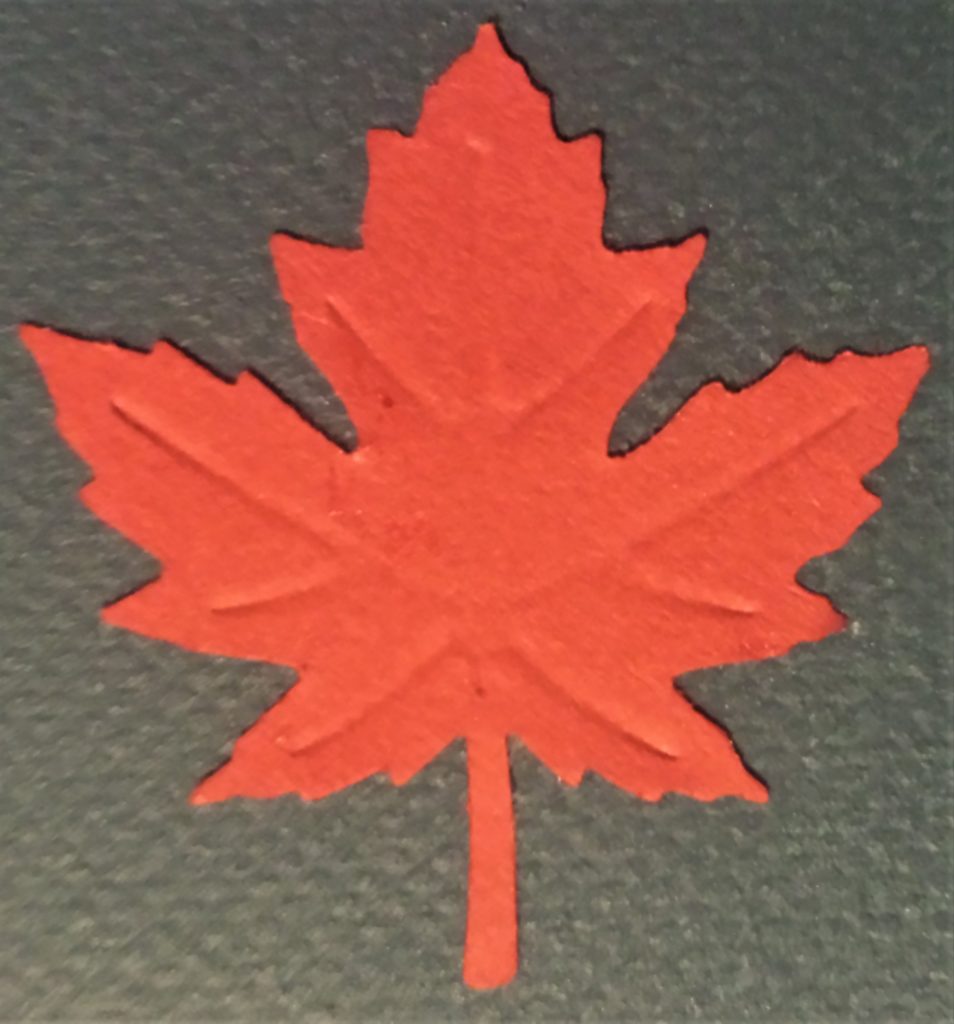 Close up image of a leaf punched out.