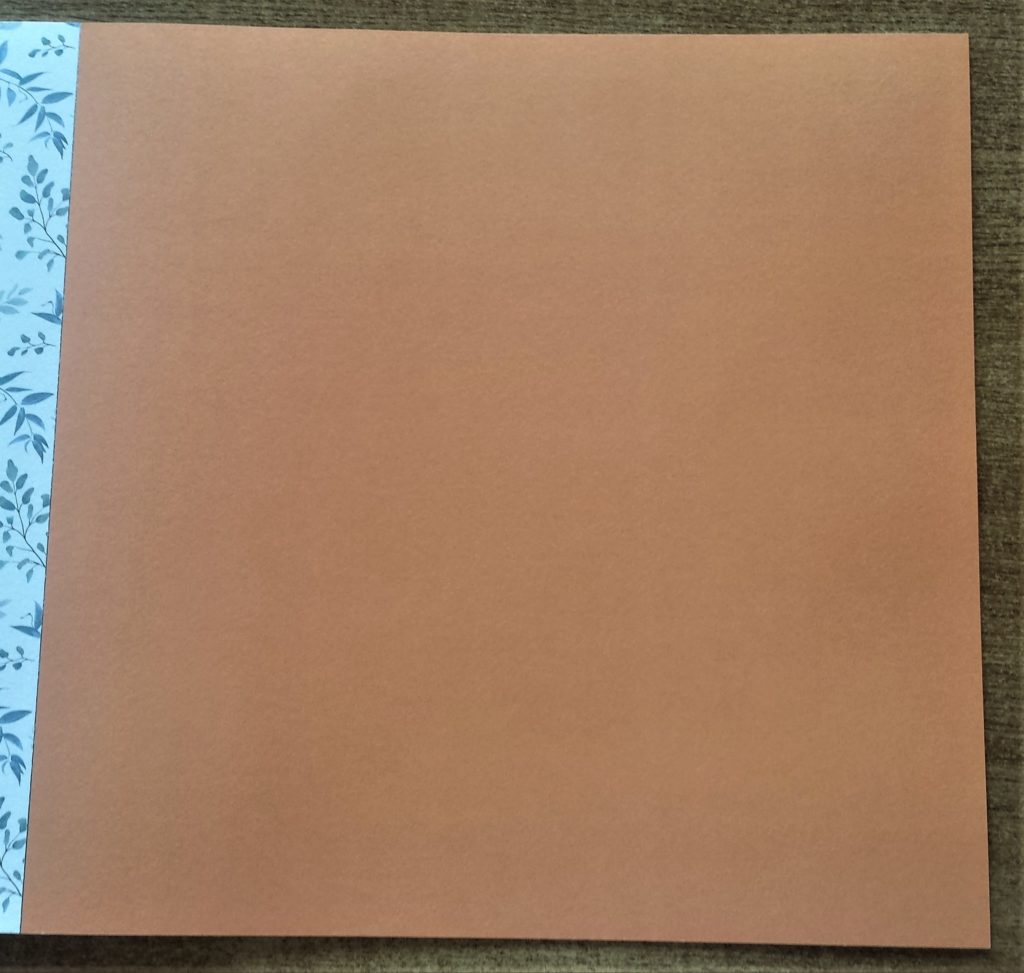 Orange paper from the autumn inspired paper pad.