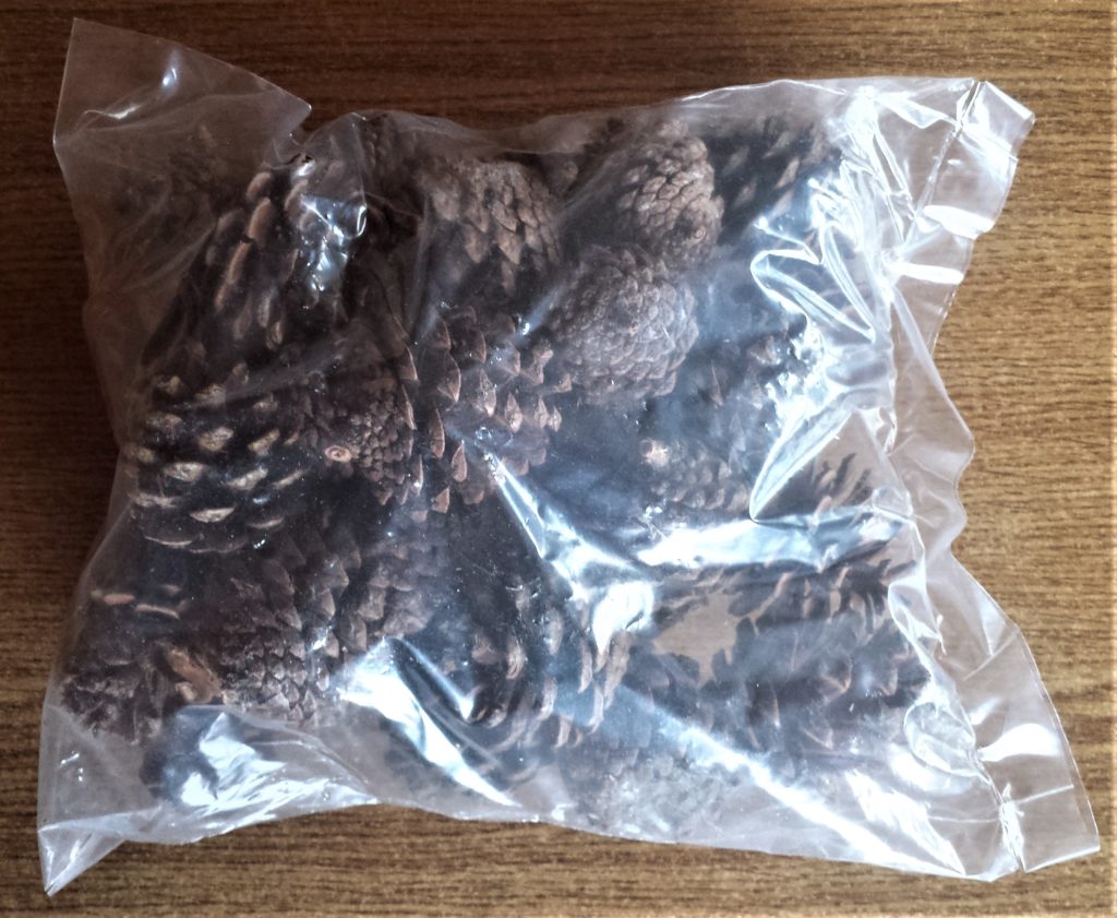Pack of Pine Cones.