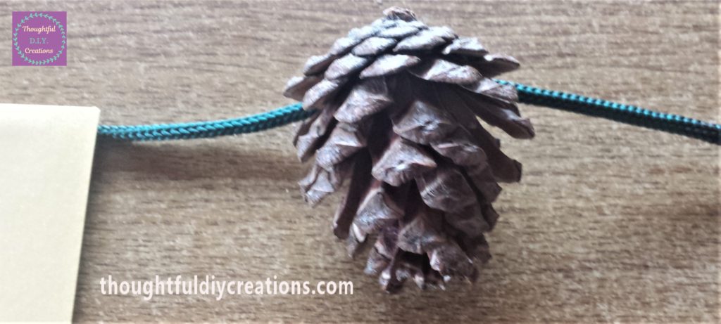 Front view of pine cone glued to the string.
