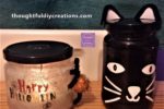 Final Result Spiderweb & Cat Jar Craft.