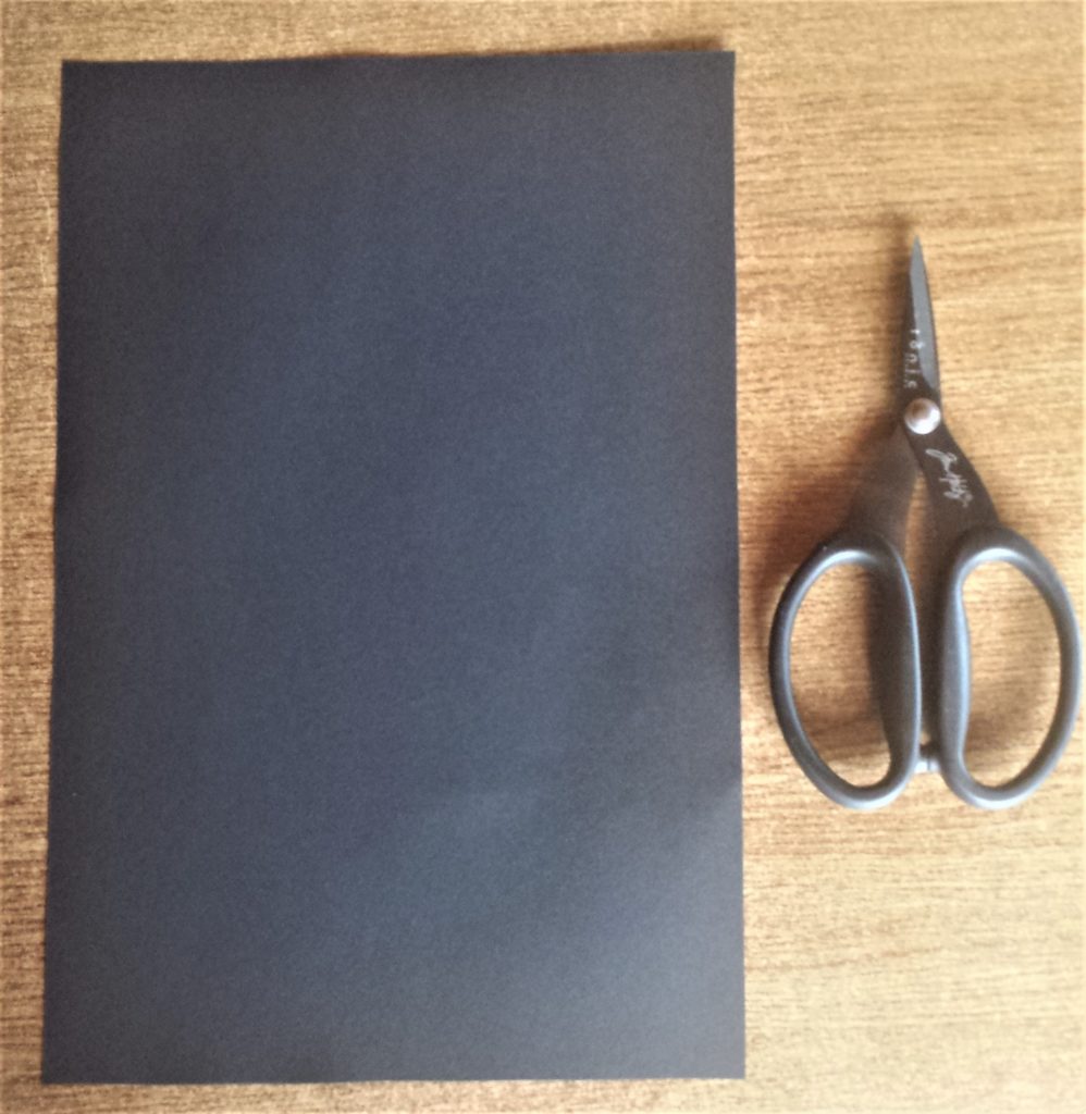 Black page cut out using Tim Holtz Scissors.