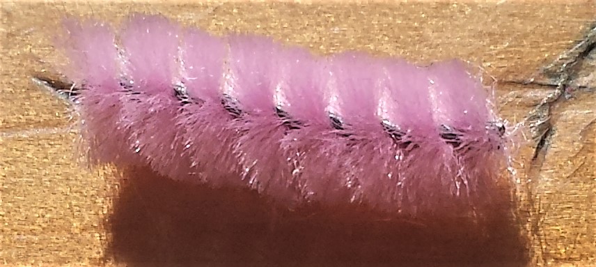 Small section of the pink pipe cleaner cut.