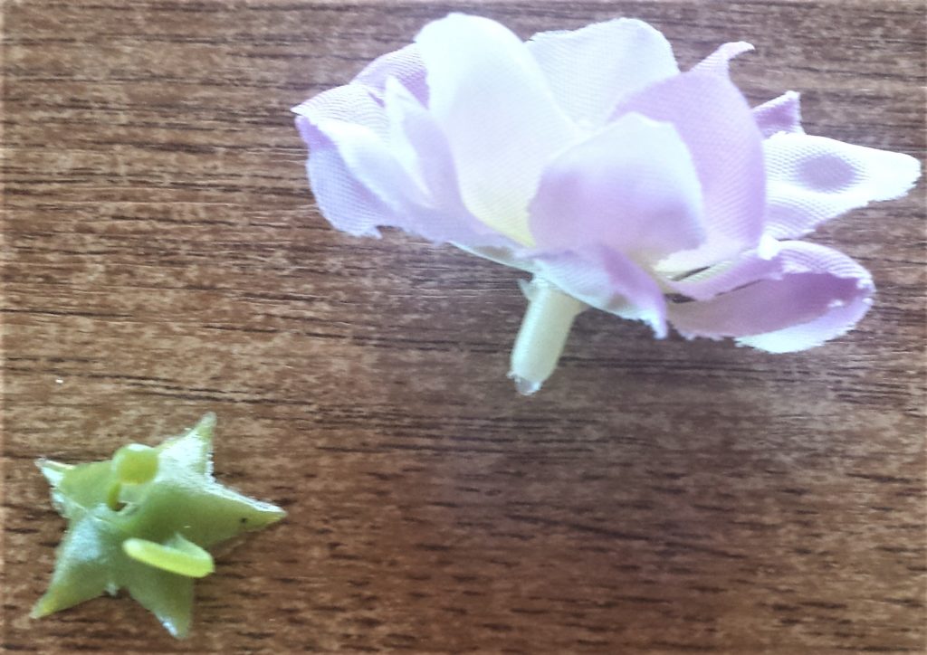 Green plastic leaf removed.