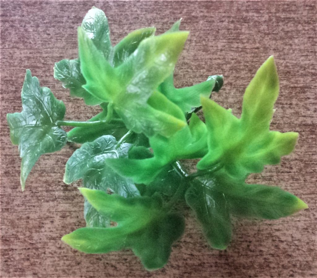 Small section of leaves.