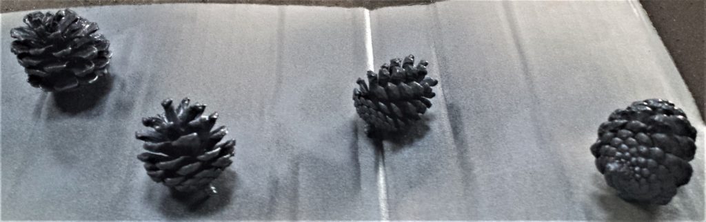 Third layer of spray paint on the pine cones.