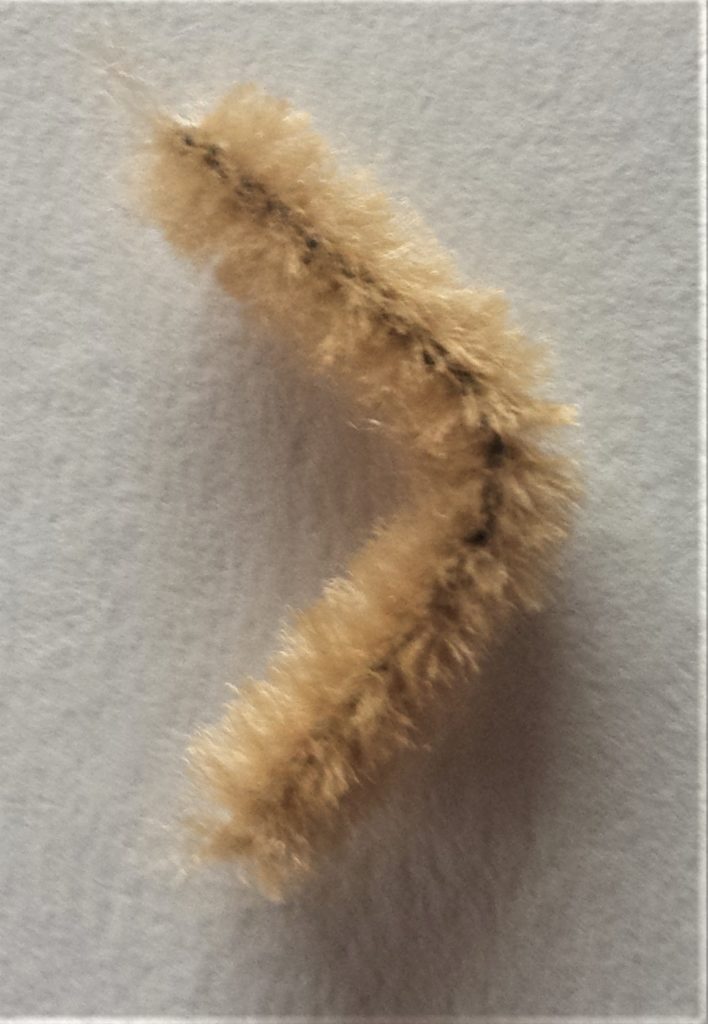 The finger pipe cleaner curled into a curved shape.
