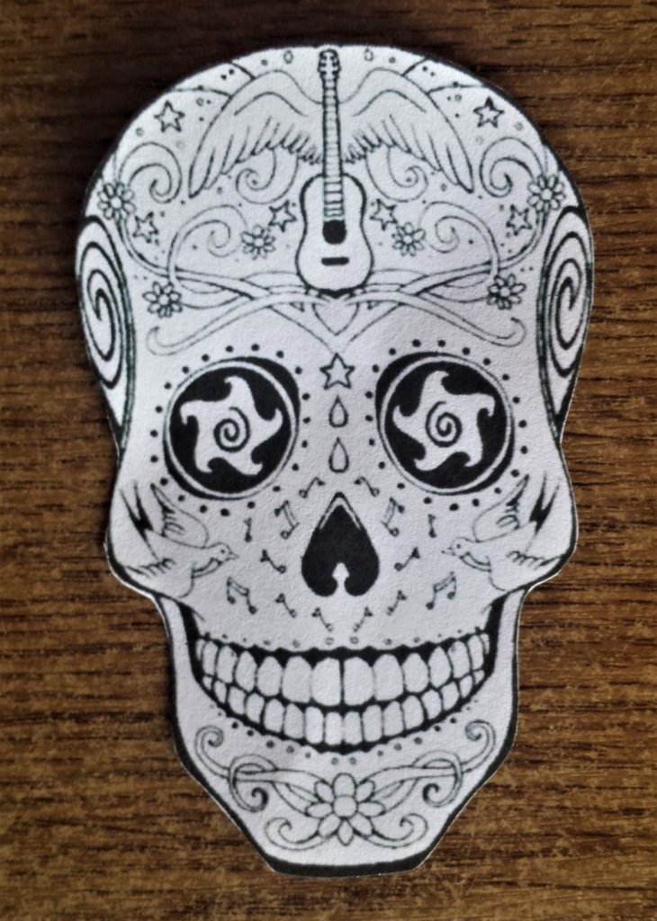 The skull cut out using a small, sharp scissors.