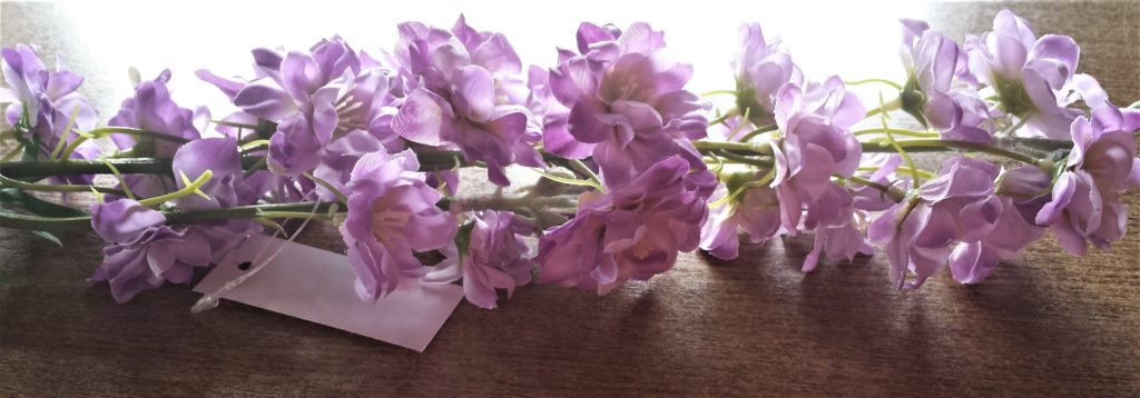 Close up image of the purple flowers.