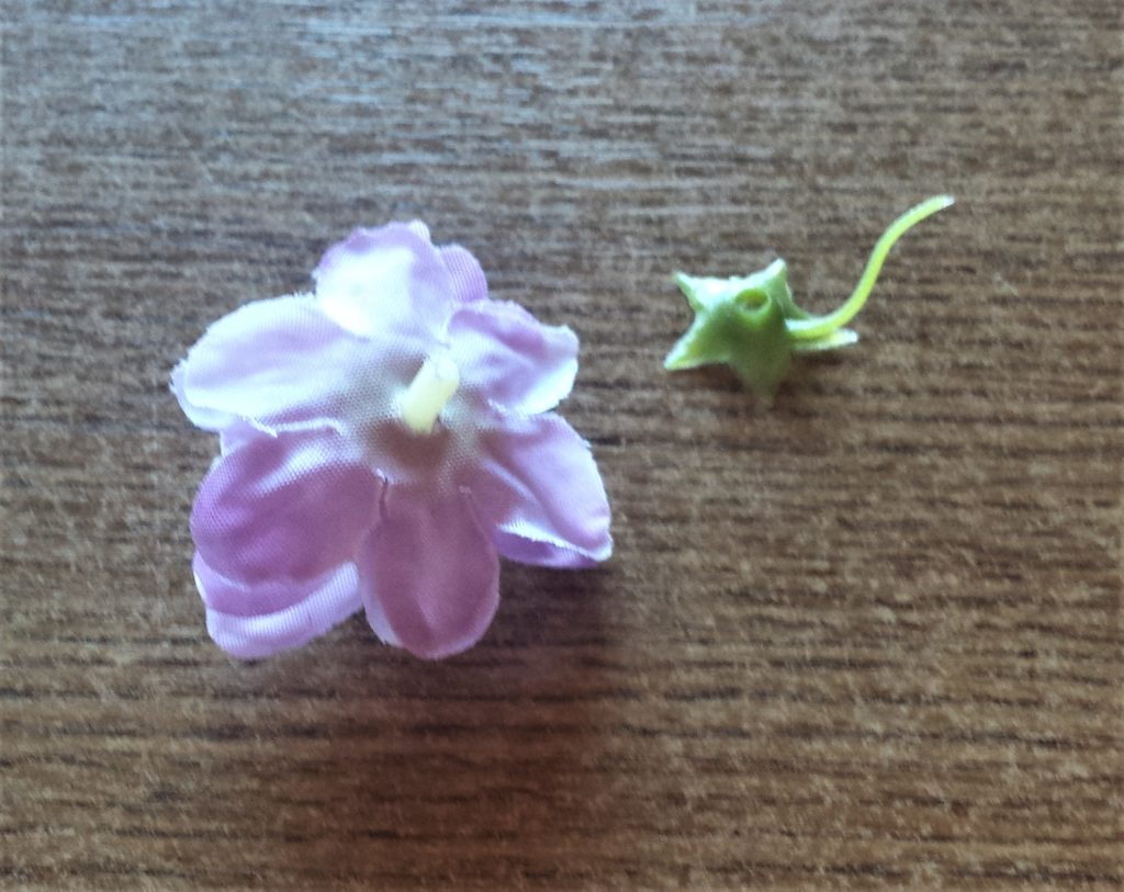 The green leaf pulled off from the back of the flower.