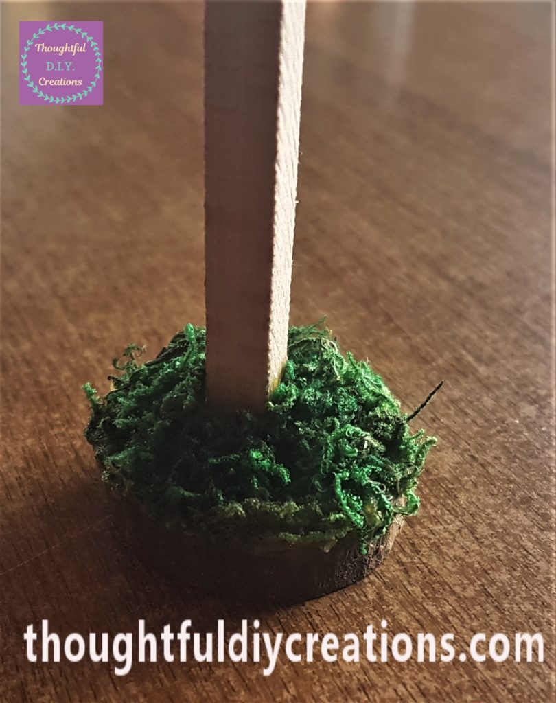 Close up image of the moss on the wood slice.