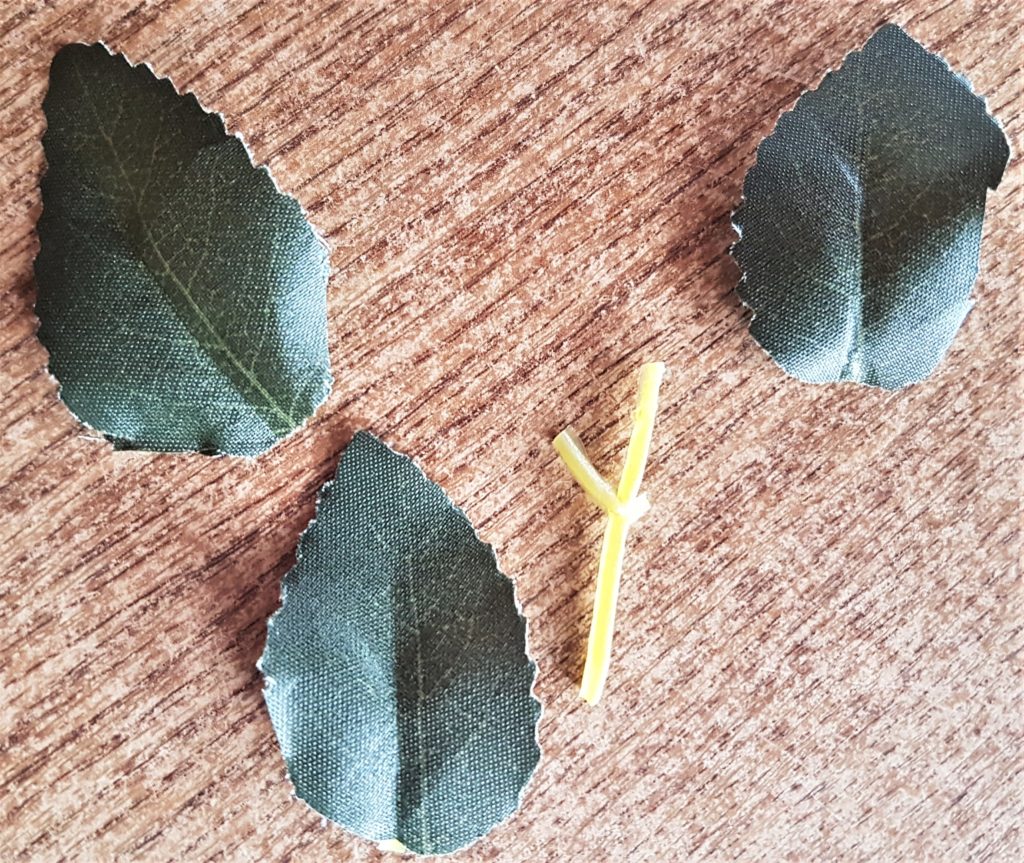 The stalk cut off and each leaf separated.