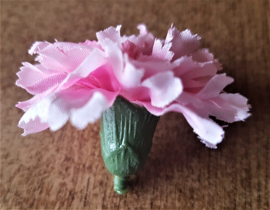 A close-up of the flower head.