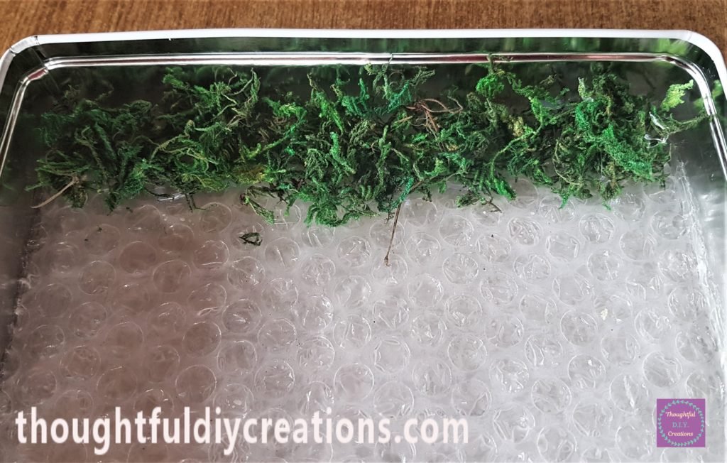 Hot glue put on the top layer of bubble wrap and dried moss added to the glue.