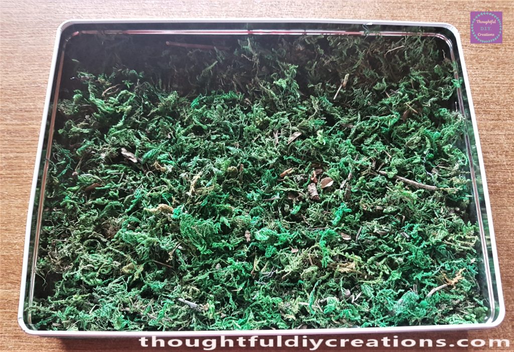 Biscuit tin filled with moss.