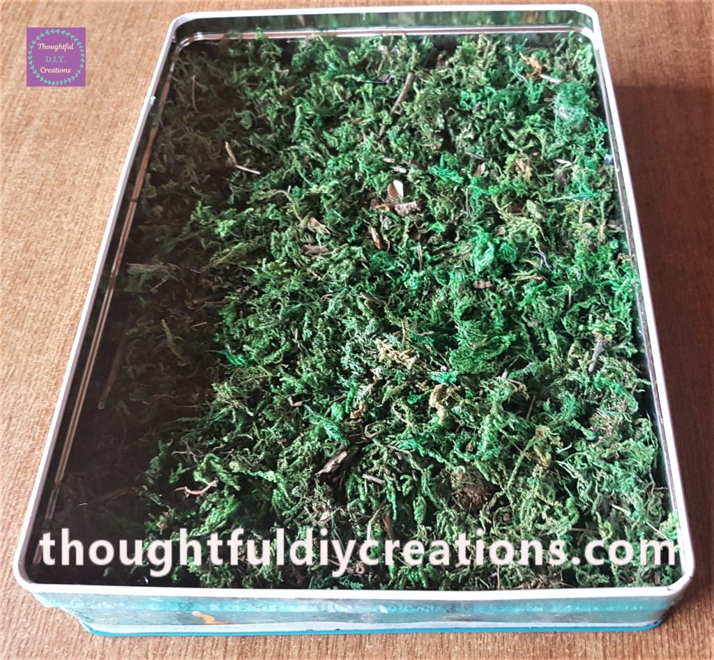 Side view of the tin covered with moss.