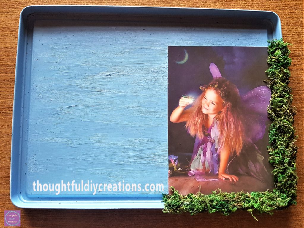 The bottom section filled with moss in the same way.