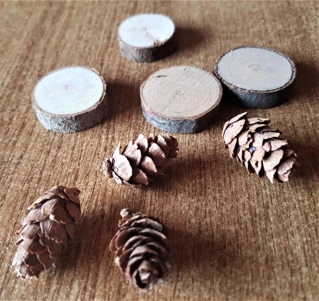 Wood slices and mini pine cones.
