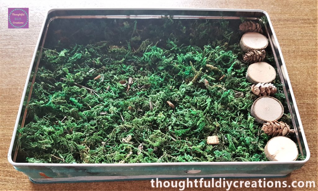 A pathway made out of the wood slices and mini pine cones.