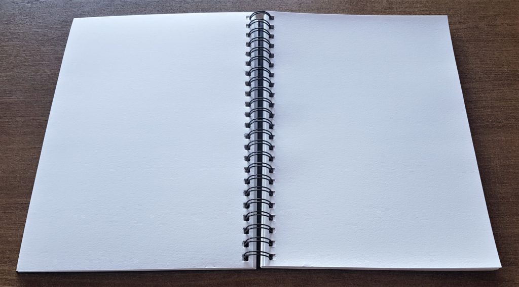 Journal opened in the mid-section.