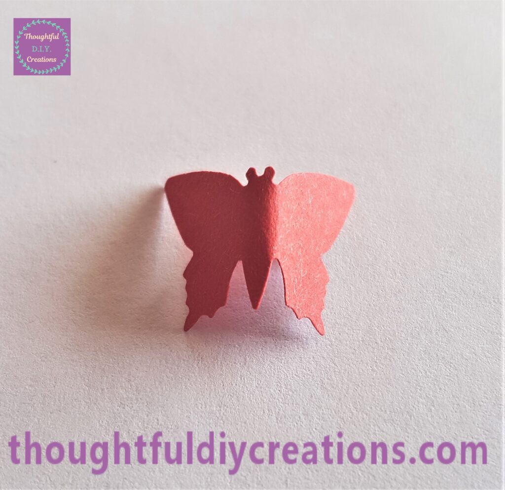 Back of the butterfly.