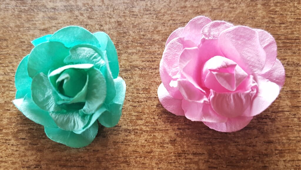 Green and Pink Flower from my Collection.