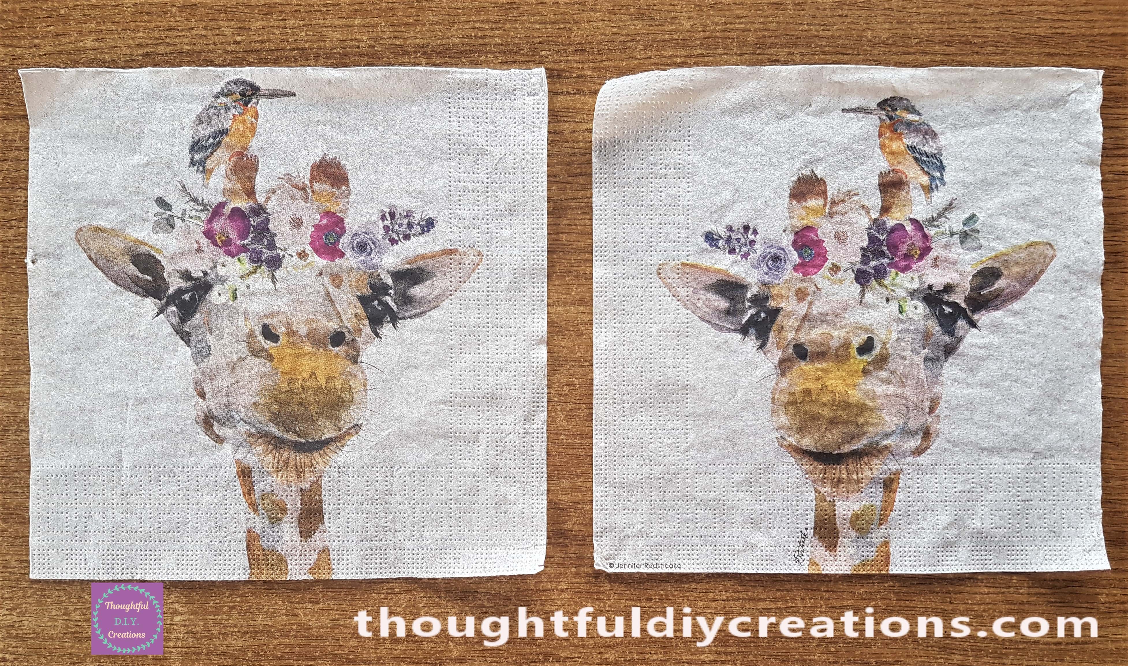 2 Decoupage Napkins with the other 2 layers removed.