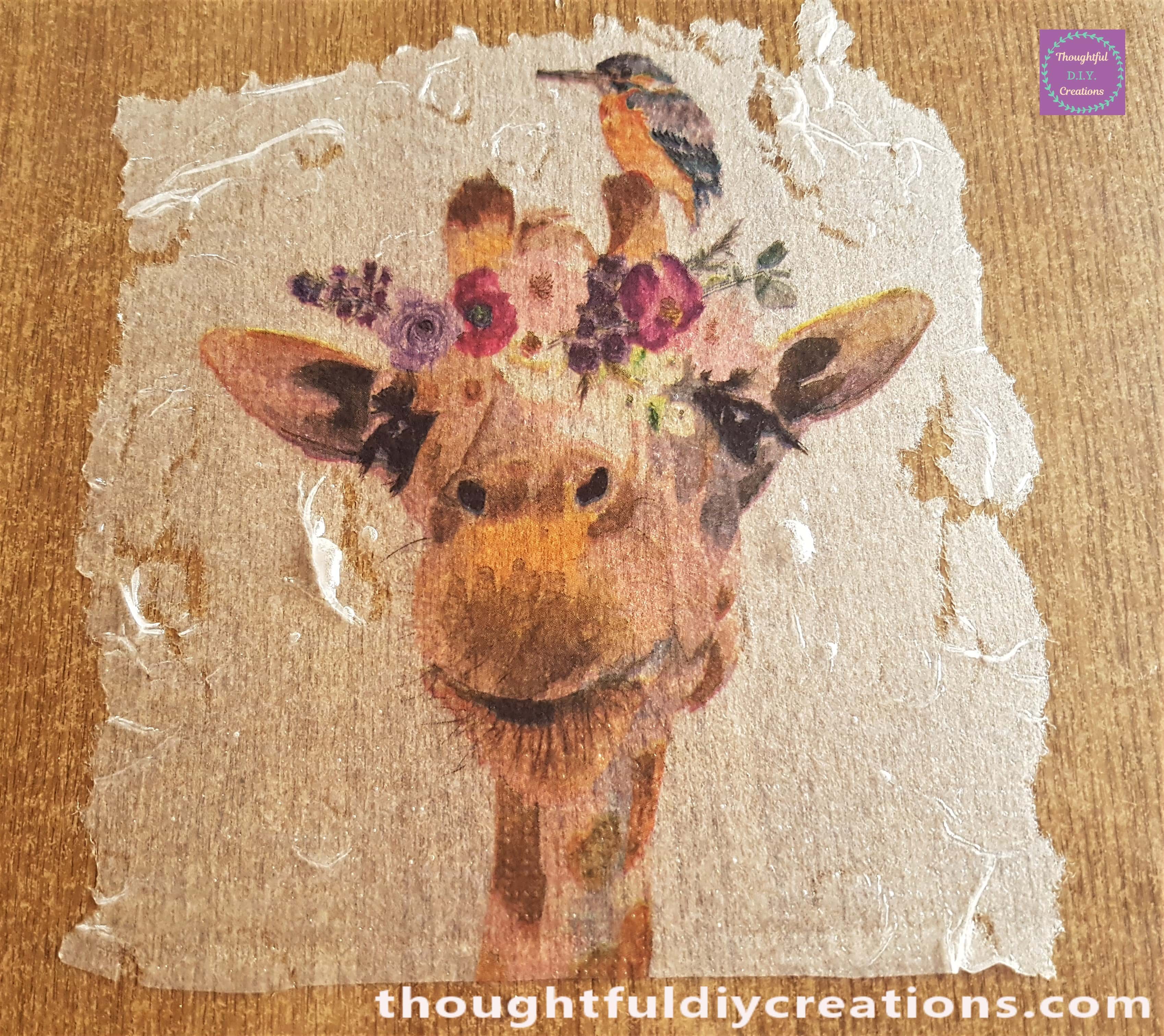 All the wrinkles removed from the Giraffe, Bird and Flowers.