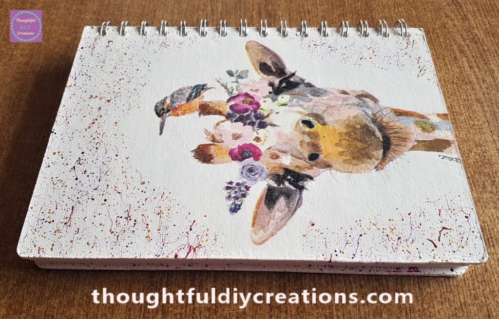 Side angle of the back of the journal.