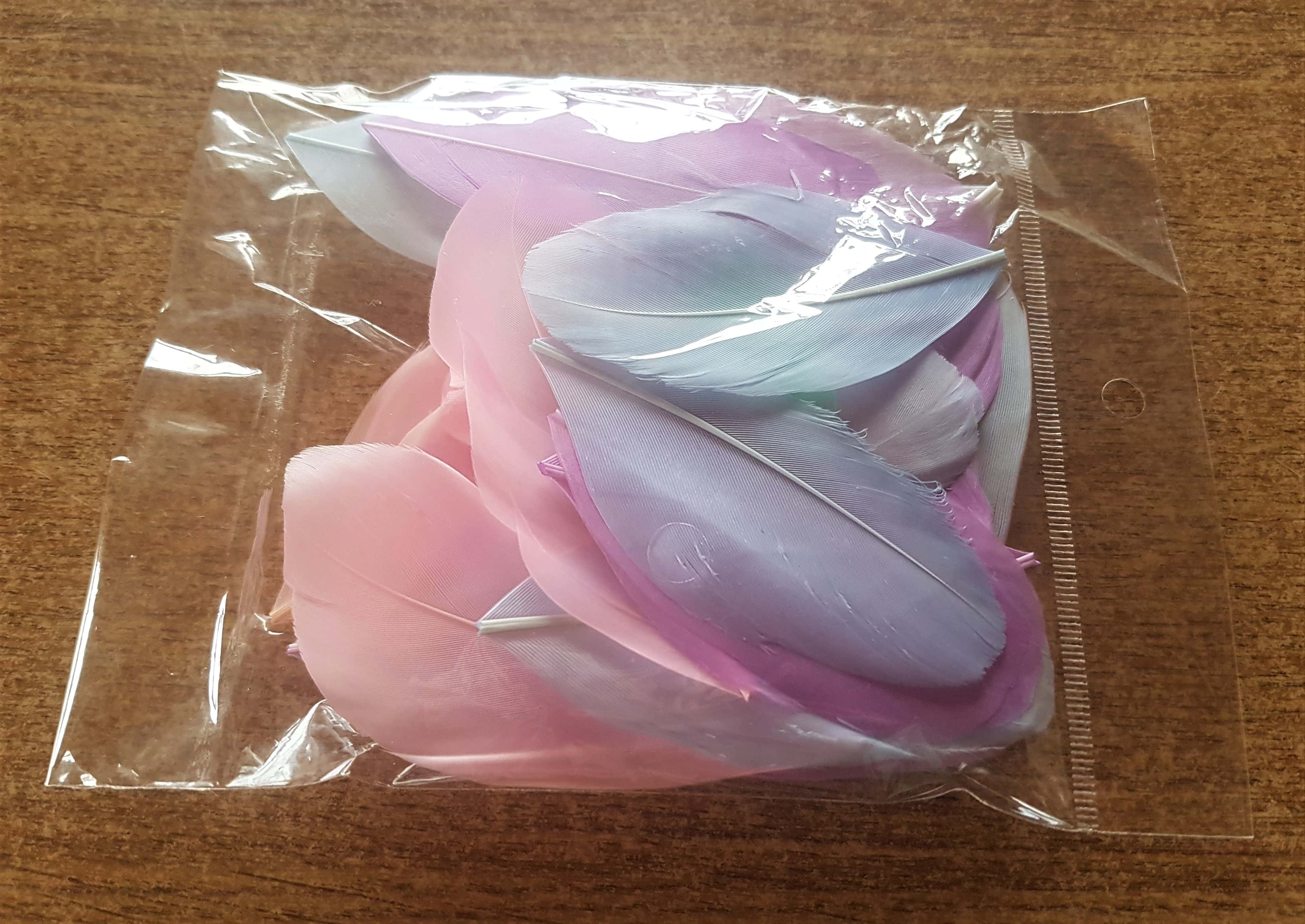 Pack of multi-coloured Feathers.