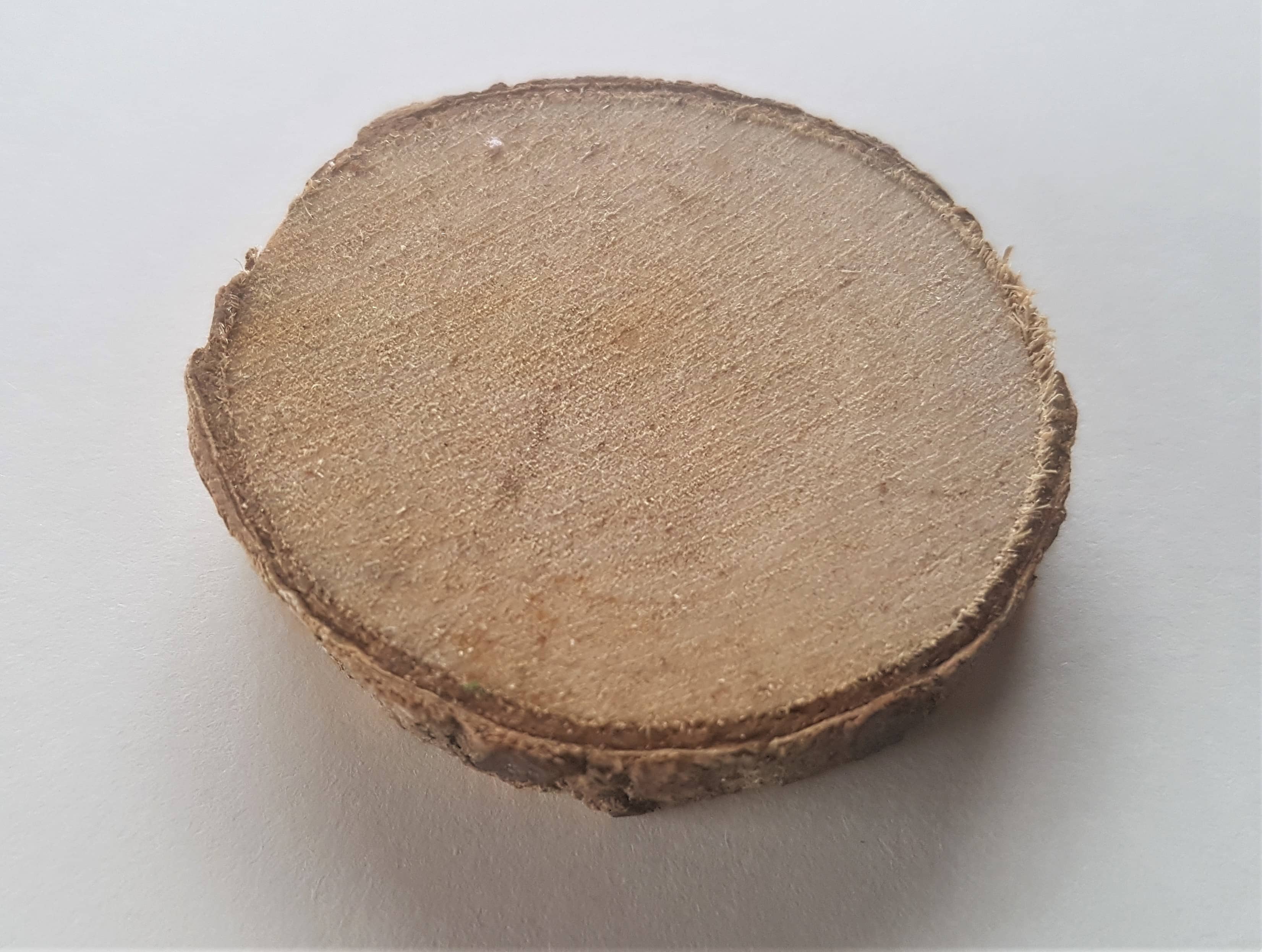 Wood Slice from the Pack.