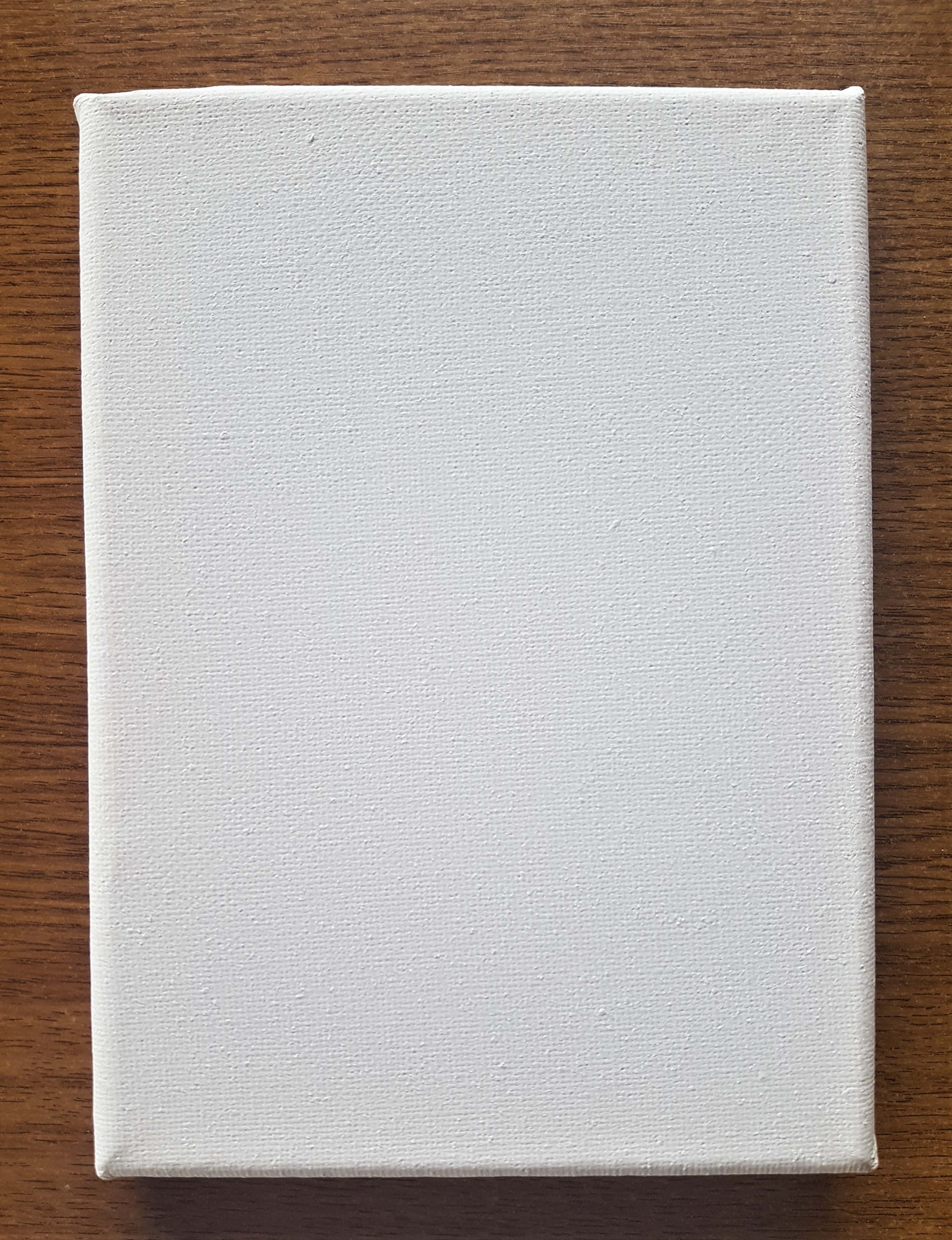 I removed the Packaging and took out one canvas to work on.