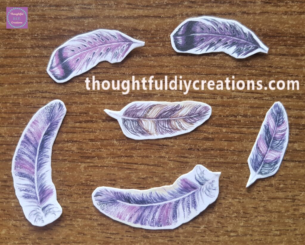 I cut 6 Feathers from the Page.