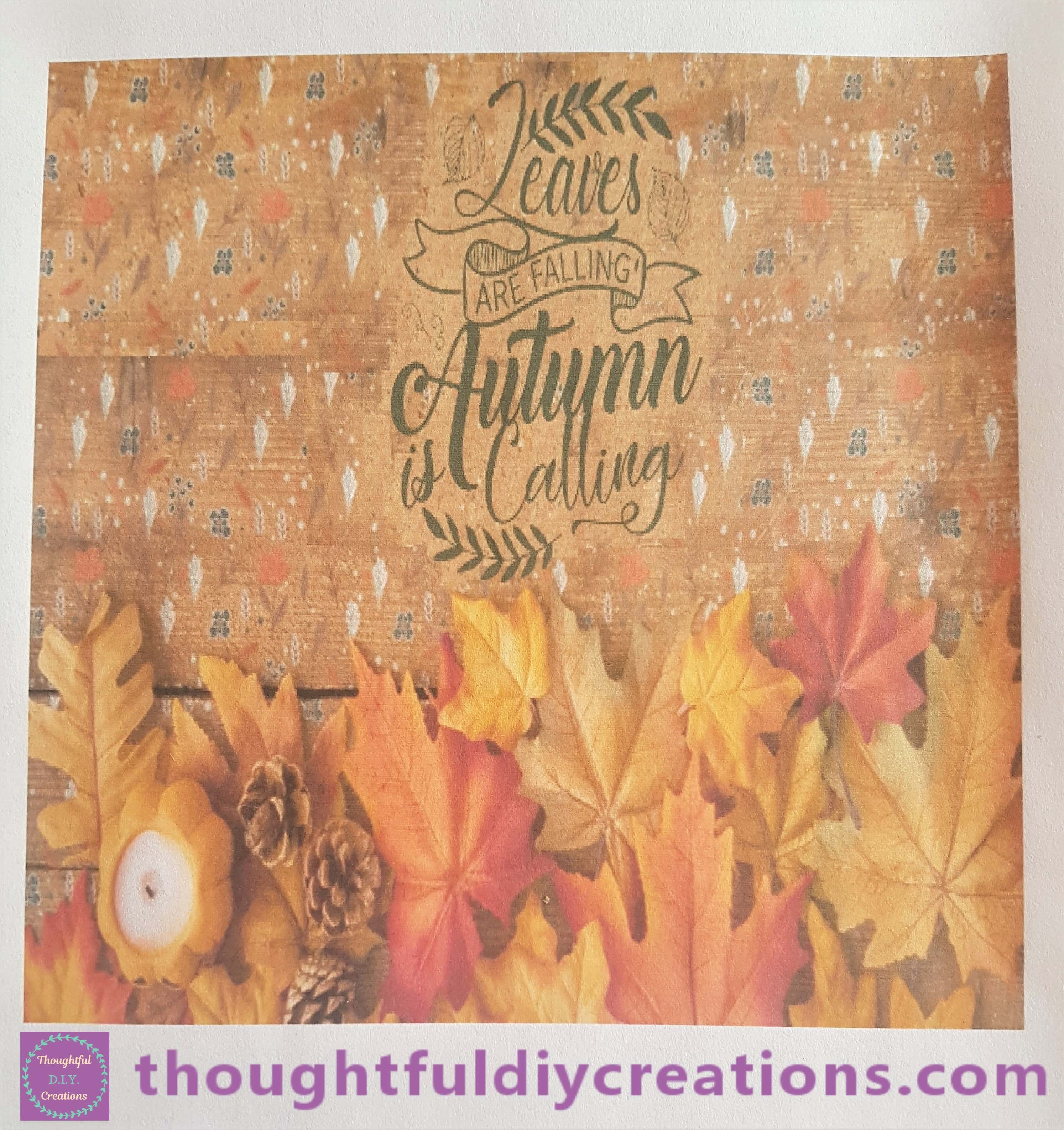 A closer look at the Image.