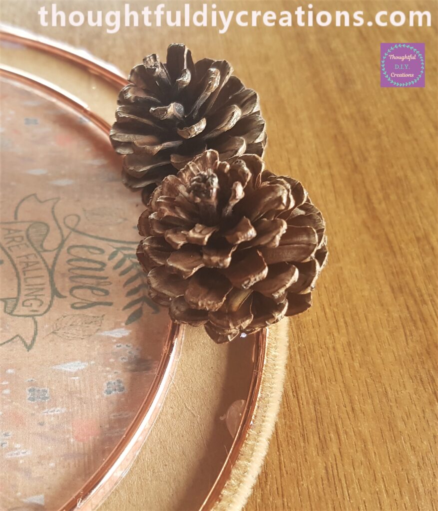 I attached another Pine Cone beside the first one.