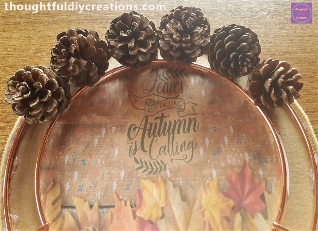 I added more Pine Cones in the same way.