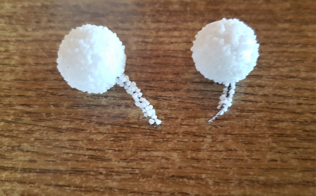 2 snow berries with about 1 cm of wire underneath.