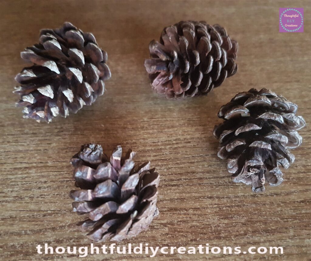 4 big pines cones for this craft.