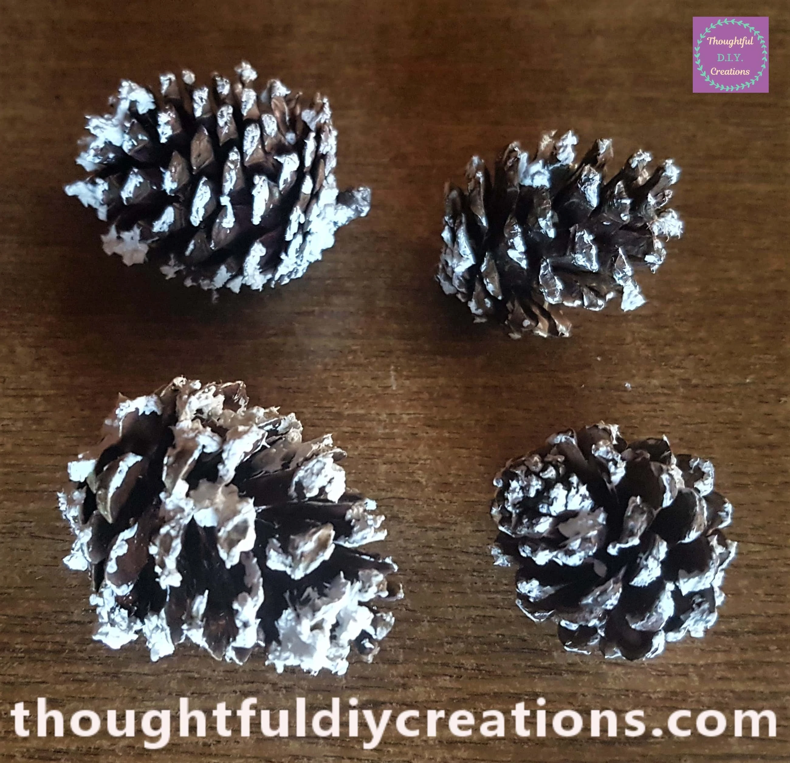 Snow paste on the edges and bigger lumps inside the pine cones.