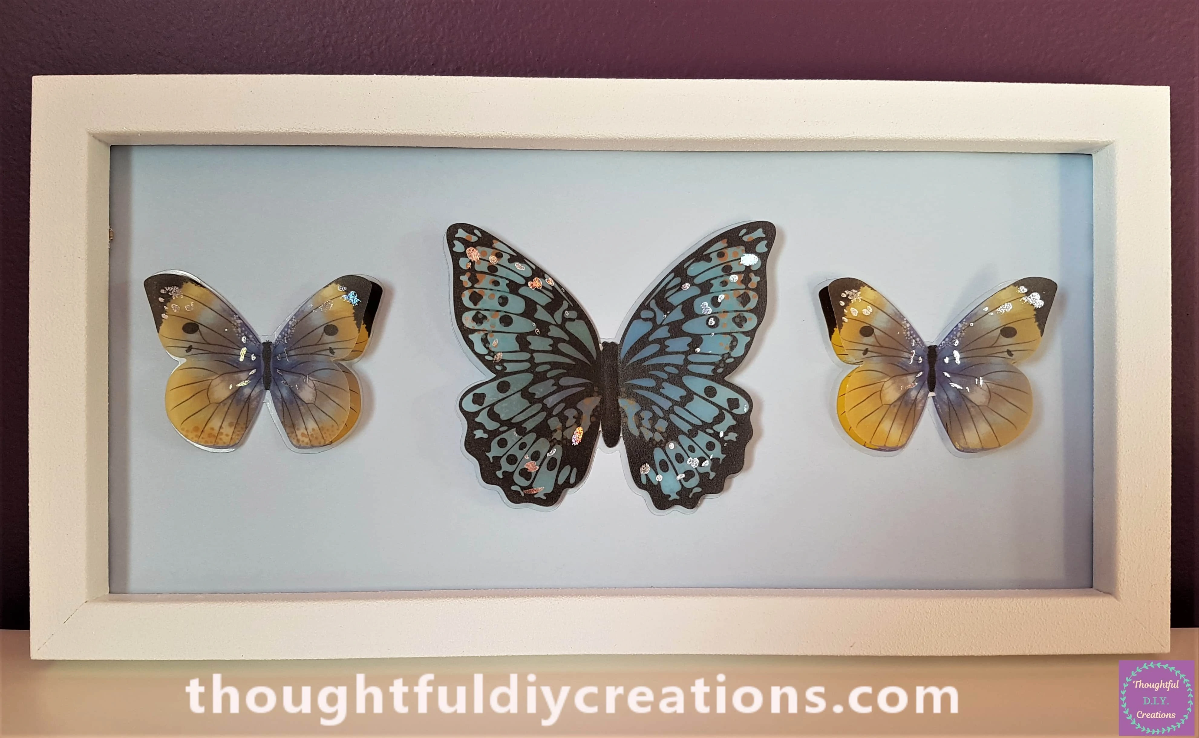 The Butterfly Frame on Display.