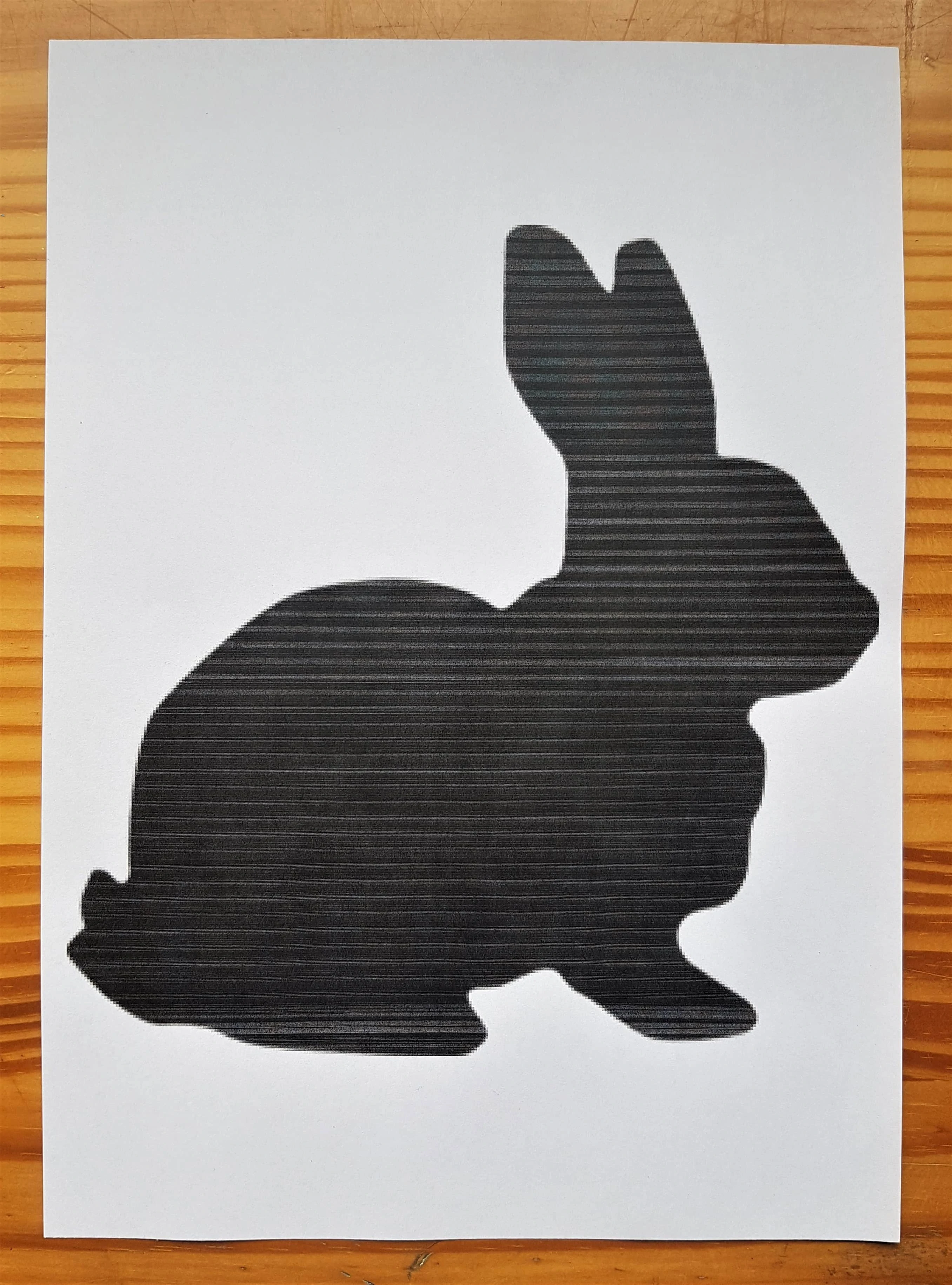 Easter Rabbit after being Printed.