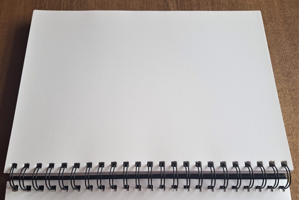 I Opened up the Journal to work on a Page.