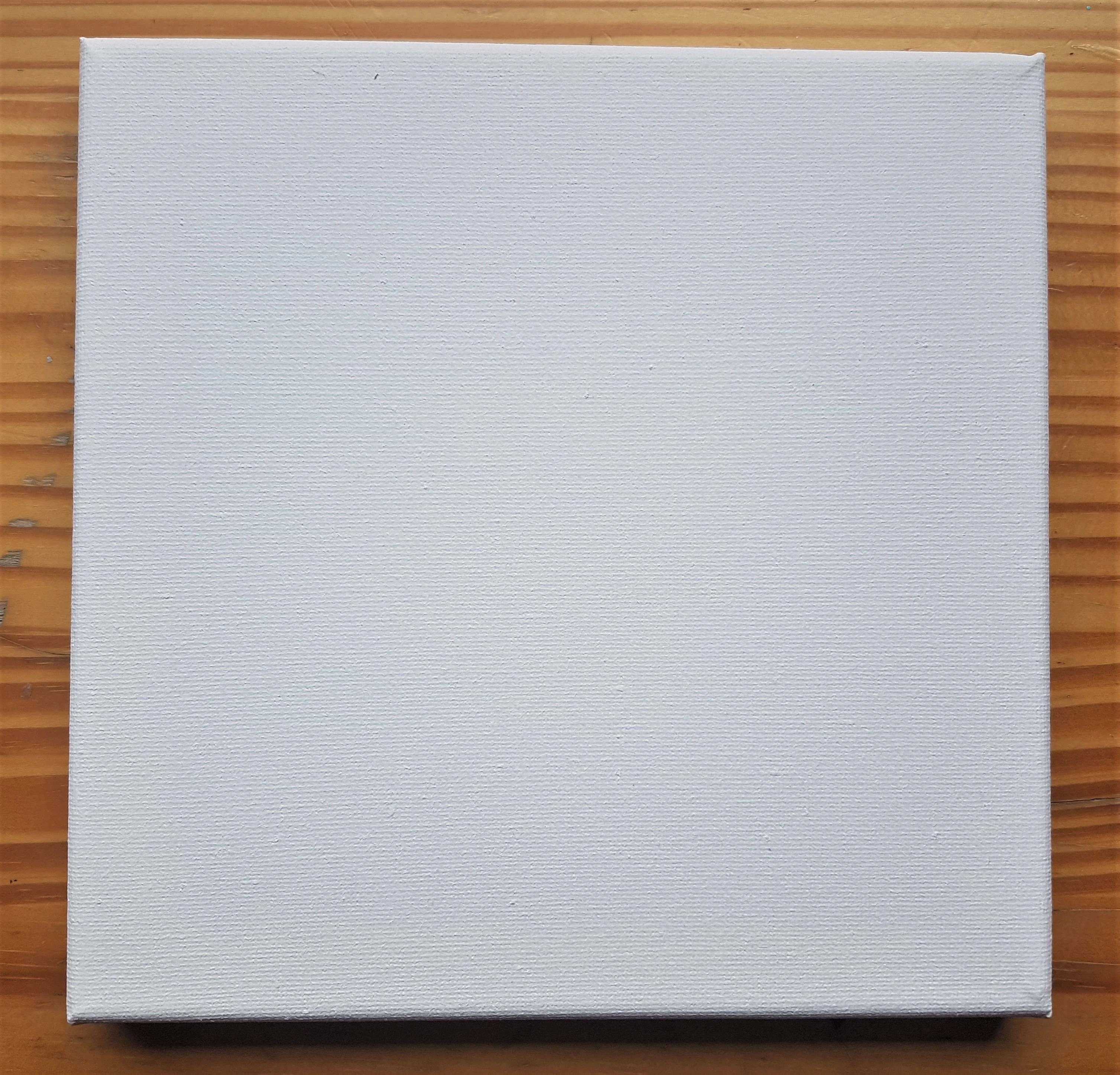 20cm x 20cm Primed Canvas.