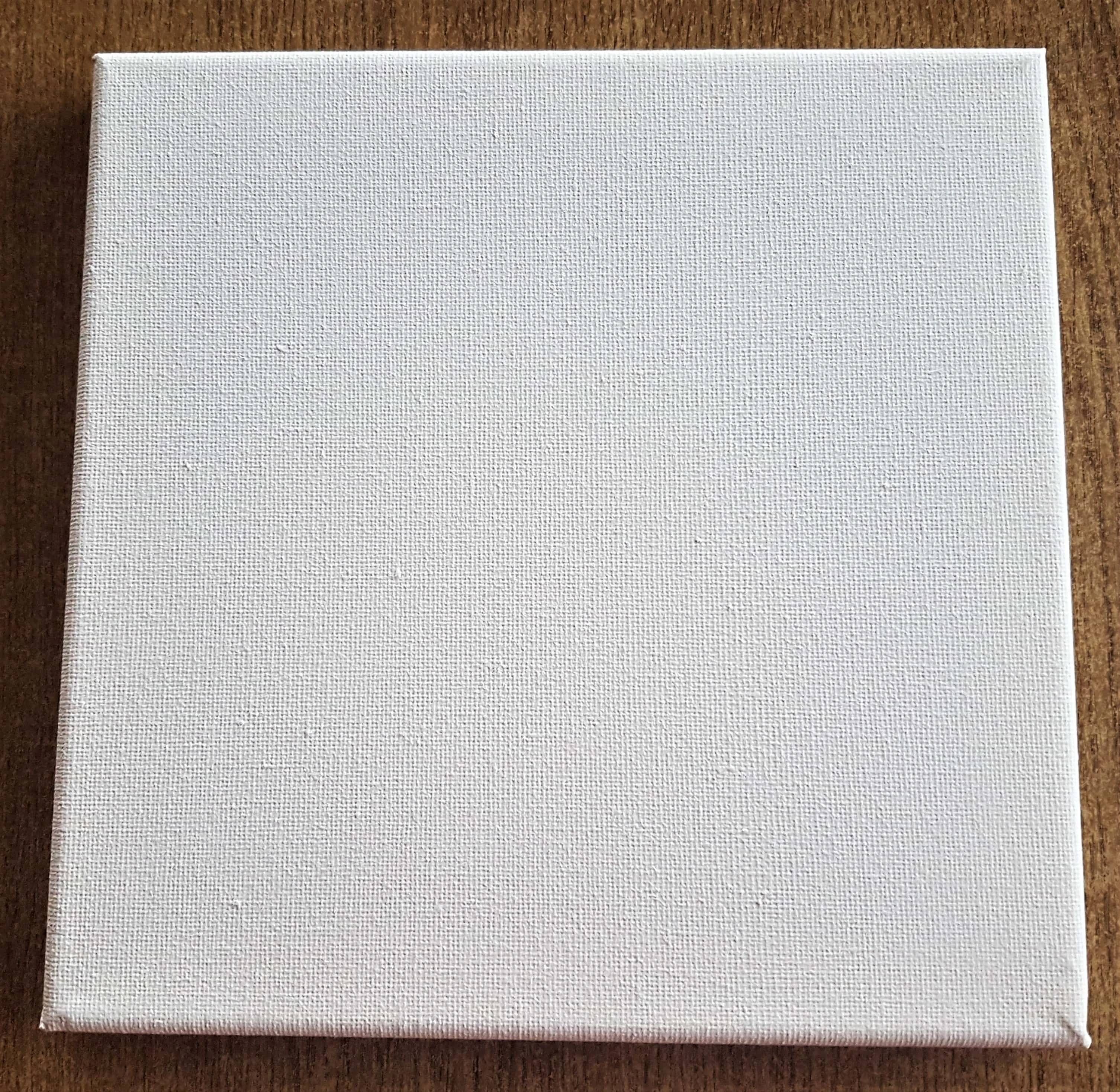 Primed Canvas 20cm x 20cm.