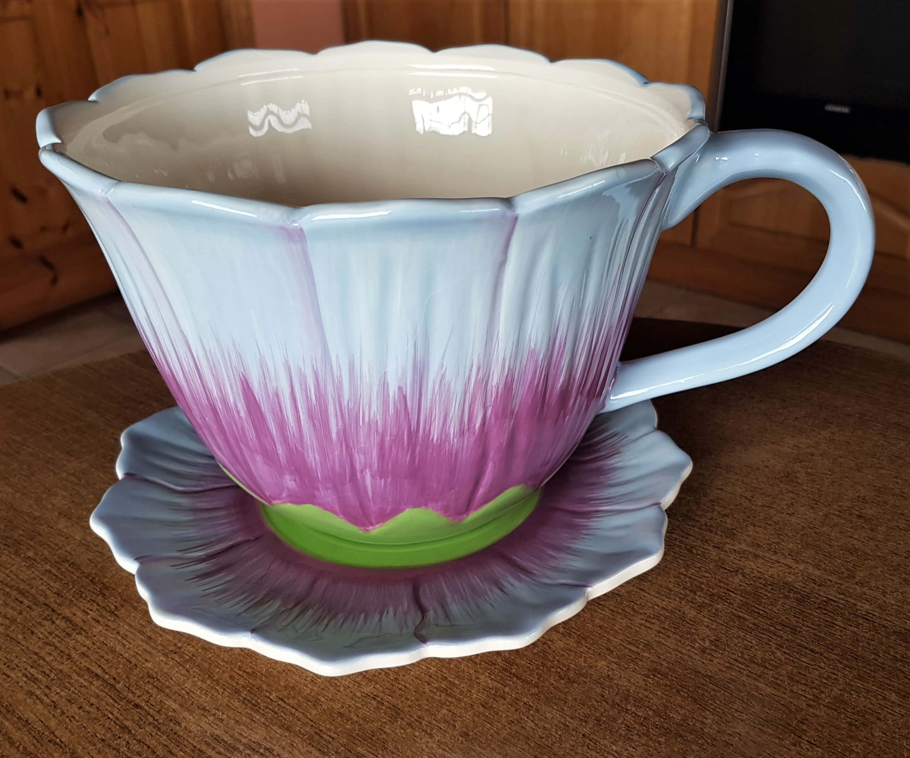 Massive Teacup and Saucer.