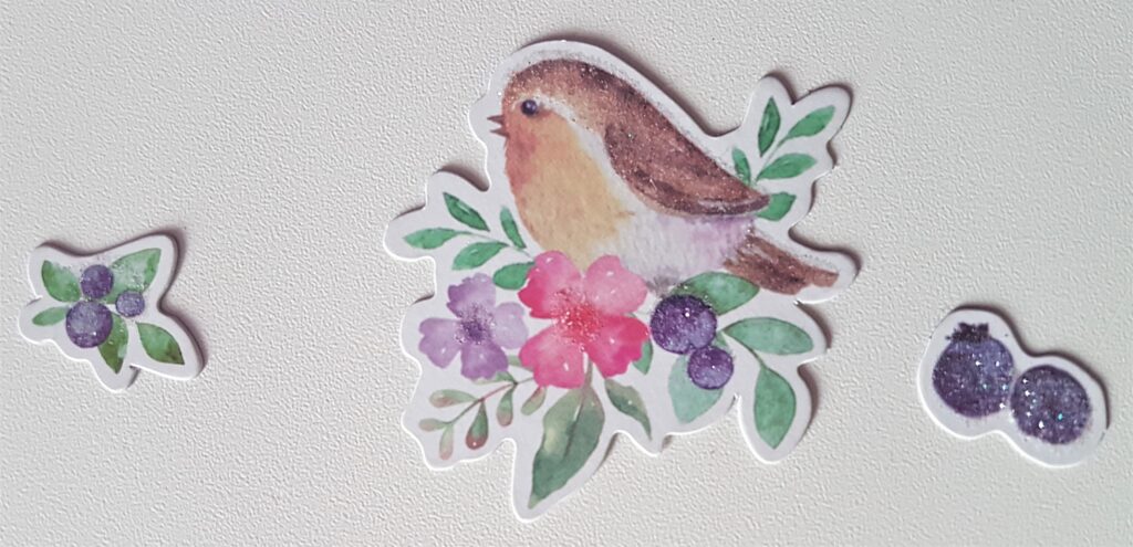 I got a Picture of a Bird and Flowers as well as Berries from an Ephemera Pack.