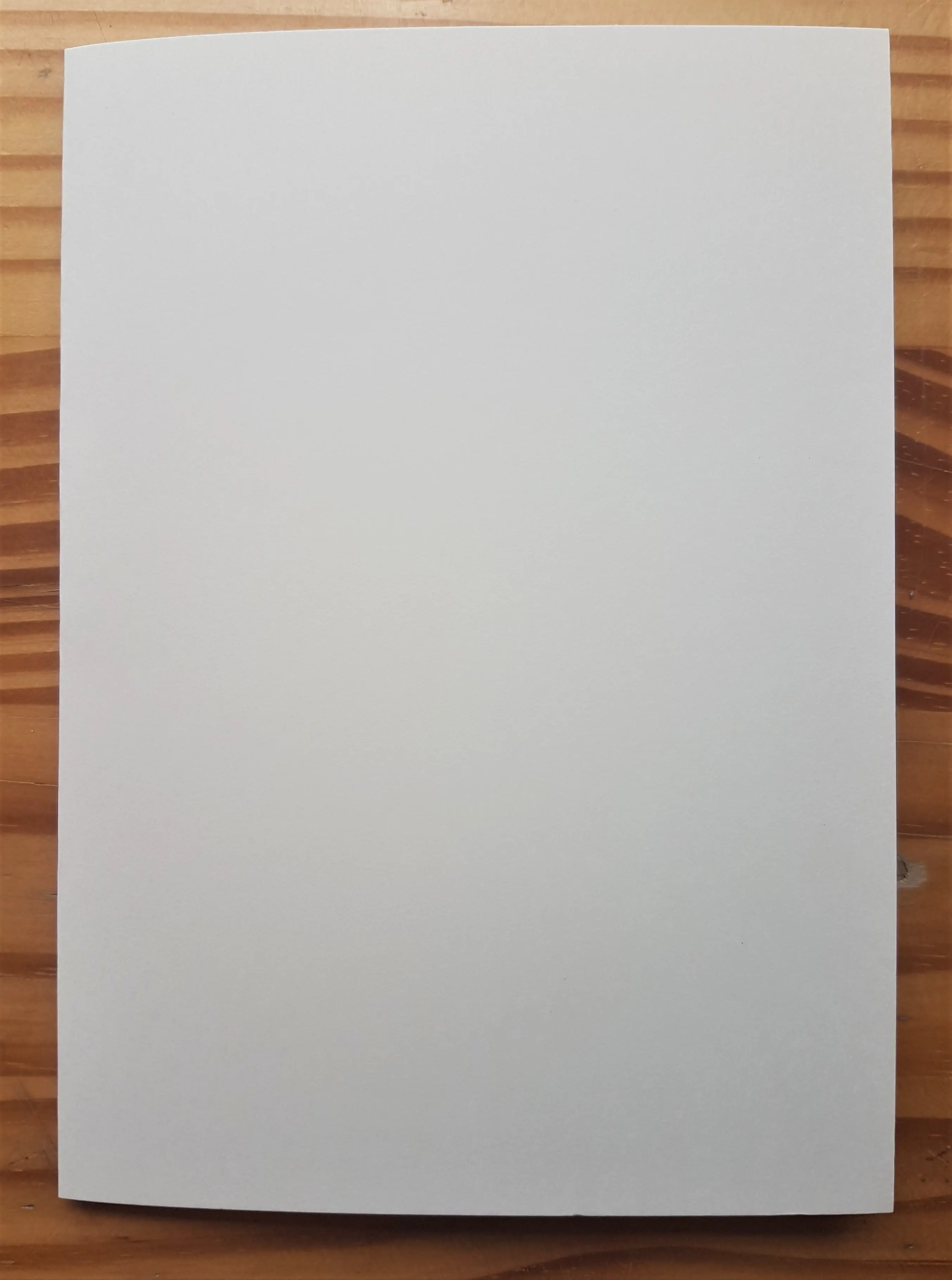 I Folded the Card in Half.