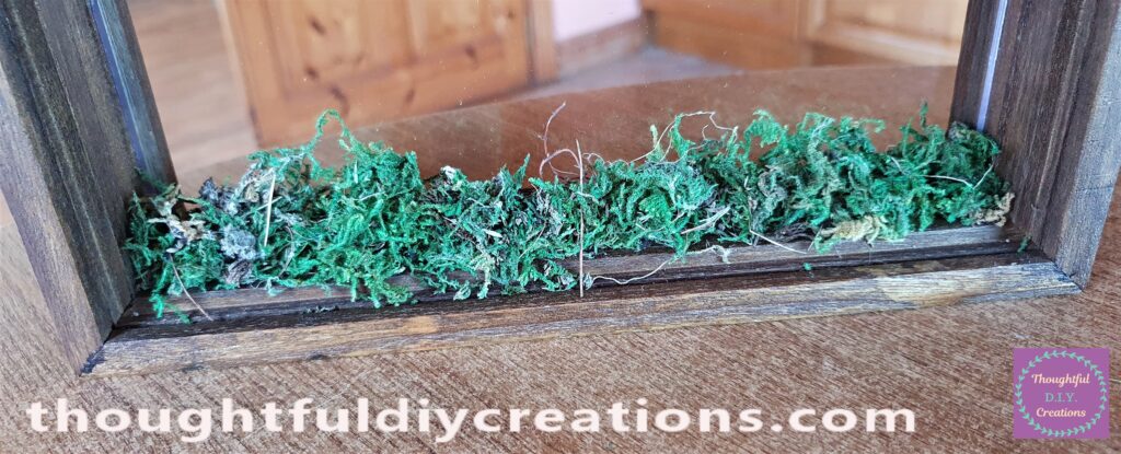 I repeated this process until the bottom of the Frame was covered in Moss.