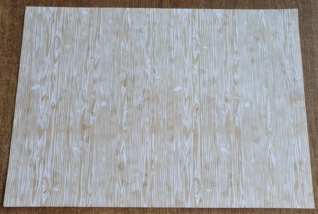 I had a Sheet of Tree Patterned Cardstock in my Supplies.